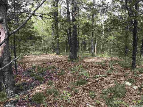 235 Harding, Mountain View, AR 72560 photo 29