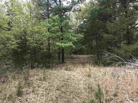 235 Harding, Mountain View, AR 72560 photo 27