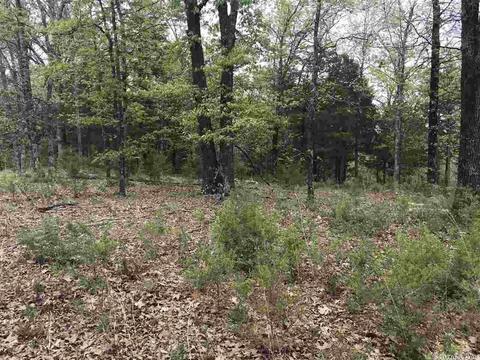 235 Harding, Mountain View, AR 72560 photo 9