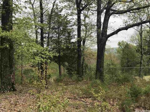 235 Harding, Mountain View, AR 72560 photo 10