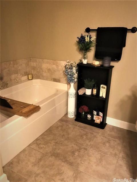 46 Sierra Dr, Austin, AR 72007 photo 11