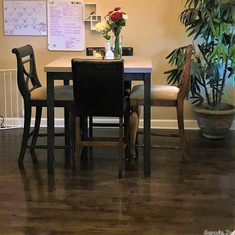 46 Sierra Dr, Austin, AR 72007 photo 5
