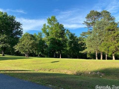 1290 Whiteway Dr, Benton, AR 72019 photo 7