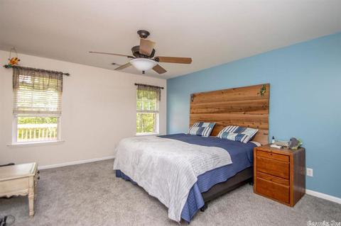 1019 Skyline Dr, Alexander, AR 72002 photo 15
