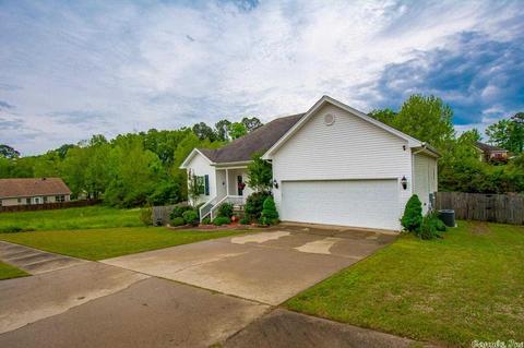 409 Derek Ct, Alexander, AR 72002 photo 39