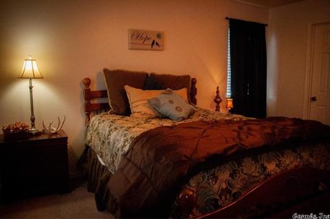 271 Highway 155, Casa, AR 72025 photo 6