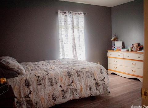 271 Highway 155, Casa, AR 72025 photo 9