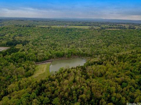 981 Cutoff Rd, Clinton, AR 72031 photo 23