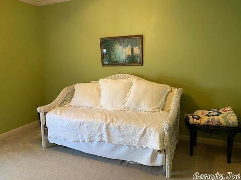 4610 Renfrow St, Conway, AR 72034 photo 17