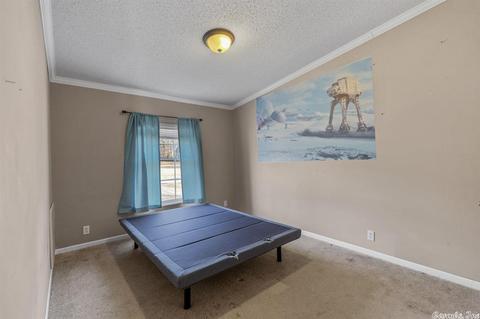 483 Tower Loop Rd, Lonoke, AR 72086 photo 17
