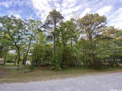 184 Doris Ln, Higden, AR 72067 photo 23