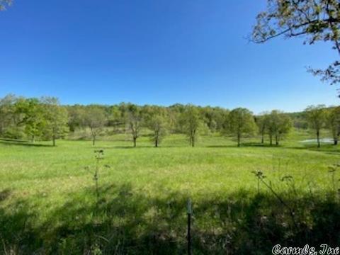 733 Big Creek Rd, Ash Flat, AR 72513 photo 1