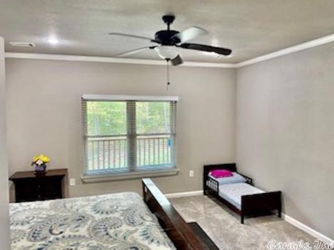 12 Kingfisher, Conway, AR 72034 photo 4