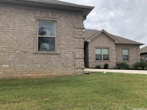790 Mango Loop Dr, Austin, AR 72007 photo 32