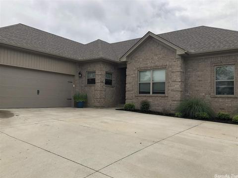 790 Mango Loop Dr, Austin, AR 72007 photo 2