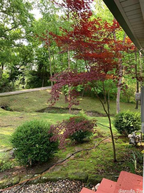 120 Irons Ln, Mount Ida, AR 71957 photo 21
