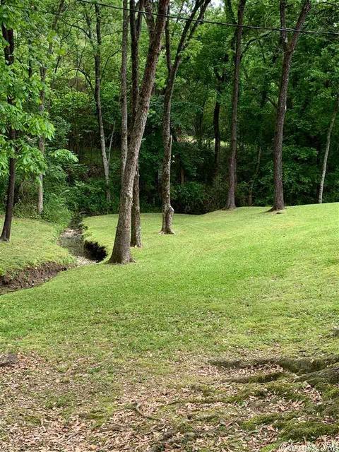 120 Irons Ln, Mount Ida, AR 71957 photo 25