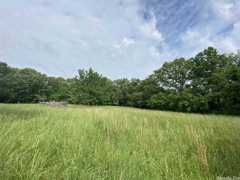 305 Arnhart St, Ash Flat, AR 72513 photo 36
