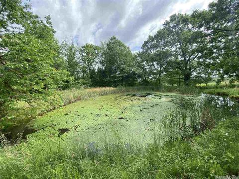 305 Arnhart St, Ash Flat, AR 72513 photo 39