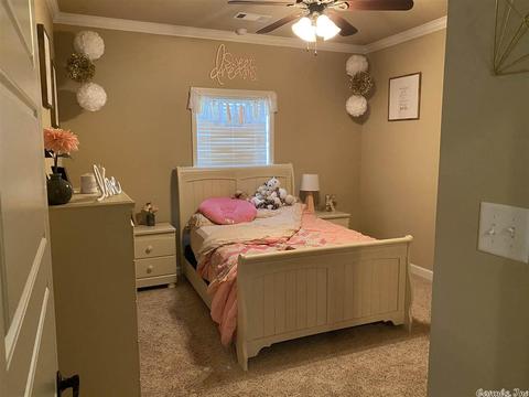 306 Reuben Dr, Alexander, AR 72002 photo 16