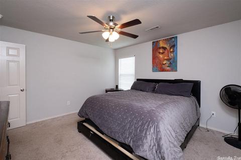 6208 Saddle Hill Dr, Alexander, AR 72002 photo 19