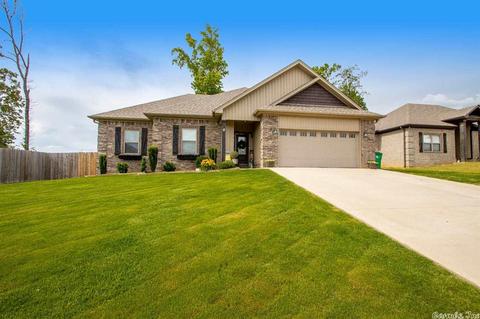 787 Mango Loop, Austin, AR 72007 photo 2