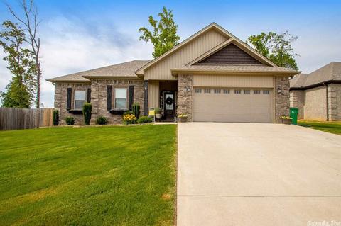 787 Mango Loop, Austin, AR 72007 photo 1