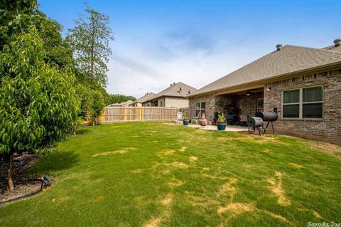 787 Mango Loop, Austin, AR 72007 photo 40