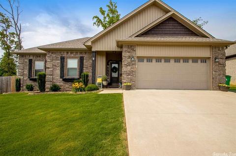 787 Mango Loop, Austin, AR 72007 photo 3