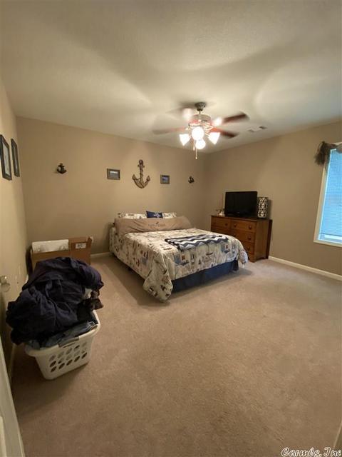 1247 Bailey Rd, Austin, AR 72007 photo 10