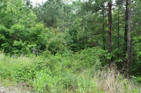 131 Carondelet Ln, Bonnerdale, AR 71933