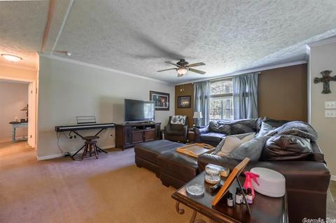 153 Robert Young Rd, Ward, AR 72176 photo 5