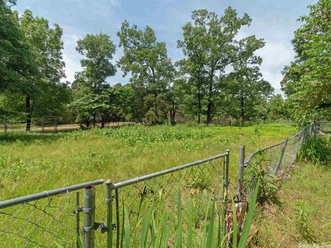 49 Kinderhook Rd, Edgemont, AR 72044 photo 5