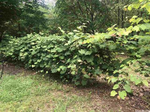 2018 Mcelroy Rd, Fox, AR 72051 photo 18