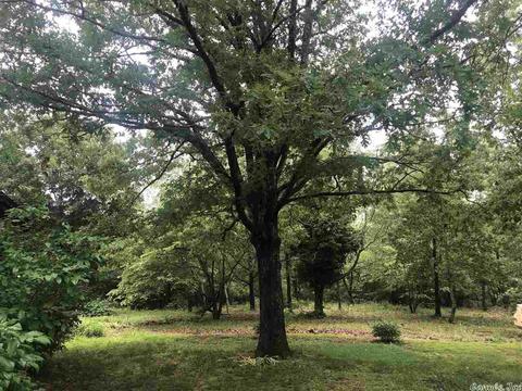 2018 Mcelroy Rd, Fox, AR 72051 photo 31