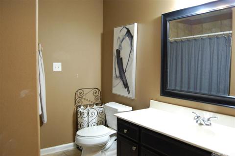 8112 N Haven Dr, Alexander, AR 72002 photo 16