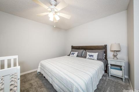 454 Ember Rd, Shirley, AR 72153 photo 20