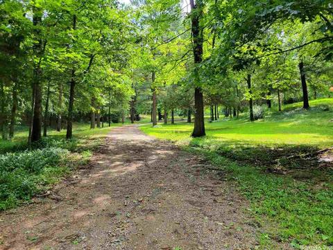 124 Cedar Ln, Horatio, AR 71842 photo 3