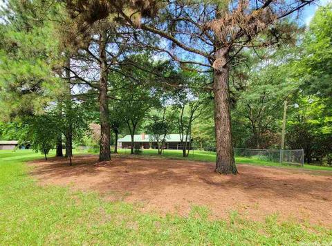 124 Cedar Ln, Horatio, AR 71842 photo 2