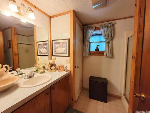 124 Cedar Ln, Horatio, AR 71842 photo 12