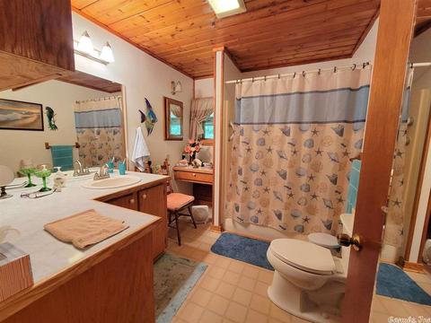 124 Cedar Ln, Horatio, AR 71842 photo 9