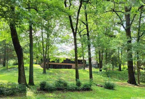 124 Cedar Ln, Horatio, AR 71842 photo 20