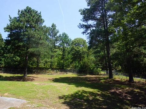 315 Lower Ridge Rd, Conway, AR 72032 photo 5