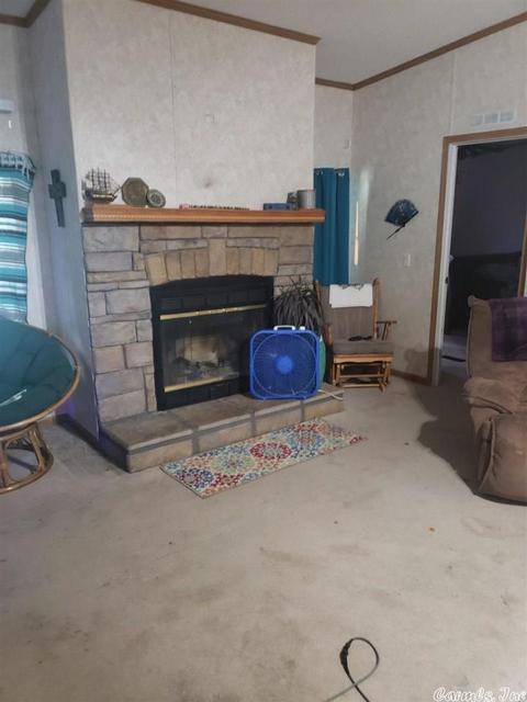 8890 Highway 54, Pine Bluff, AR 71603 photo 10