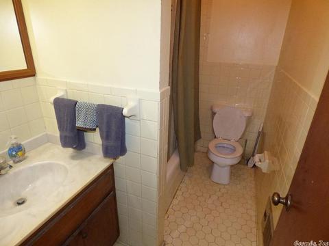 169 E Michael Dr, Hardy, AR 72529 photo 14