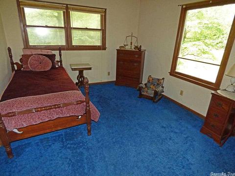 169 E Michael Dr, Hardy, AR 72529 photo 19