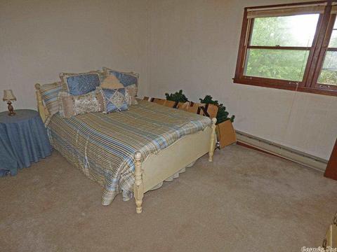169 E Michael Dr, Hardy, AR 72529 photo 17