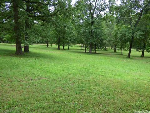 169 E Michael Dr, Hardy, AR 72529 photo 23
