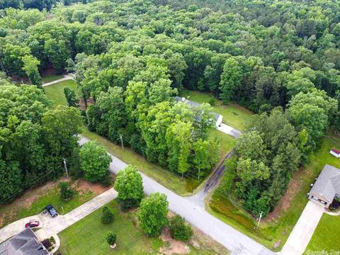 9614 Johnson Rd, Mabelvale, AR 72103 photo 4
