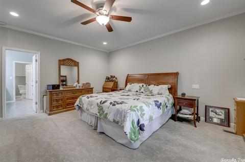 9614 Johnson Rd, Mabelvale, AR 72103 photo 19